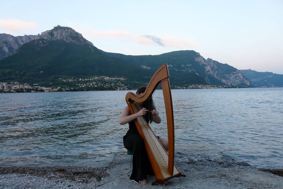 Harp and Flowers