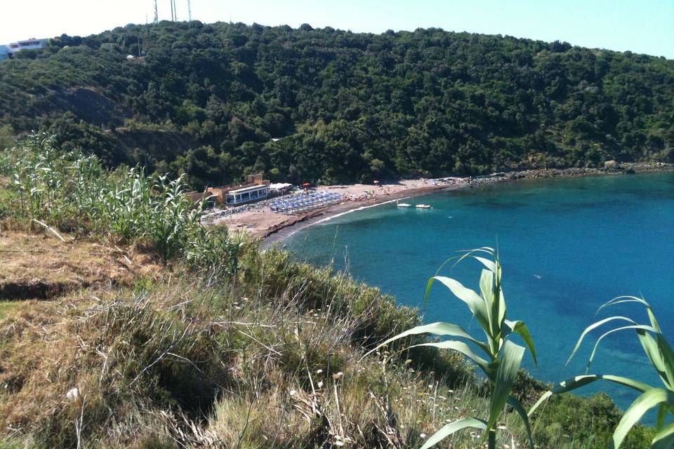 Ristorante Calamoresca Beach