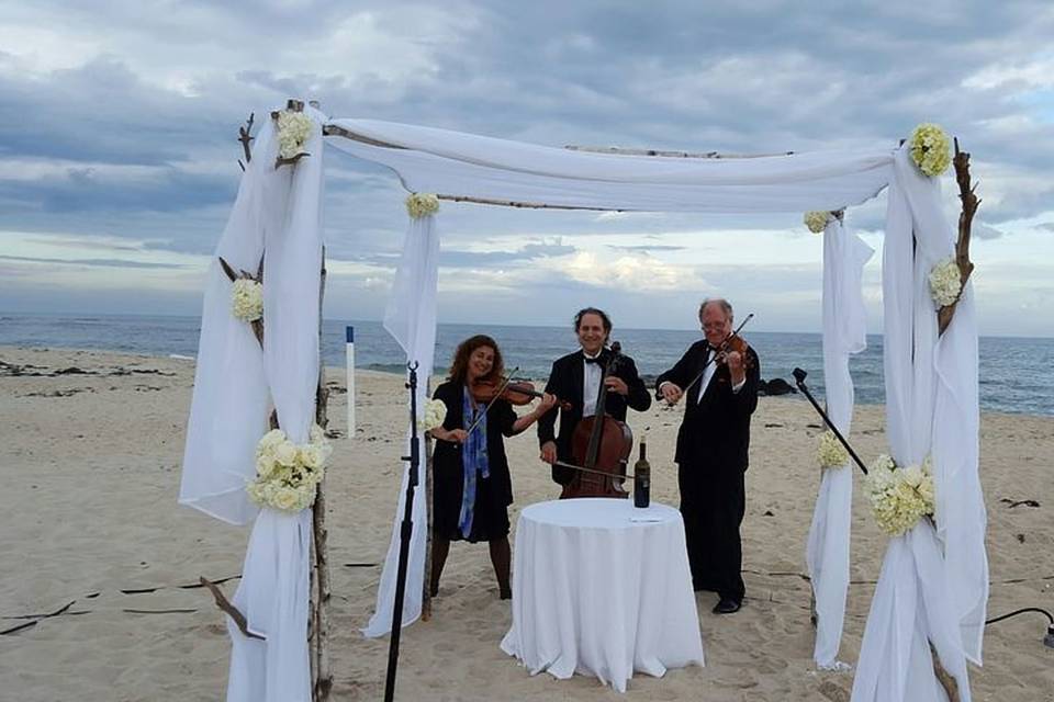 Musica matrimonio Imperia