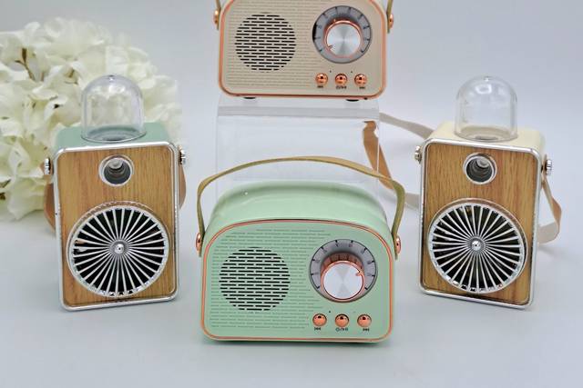 Casse bluetooth