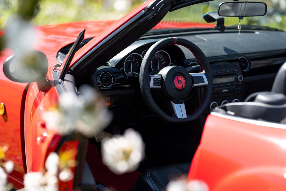 Roadster Piacenza interni