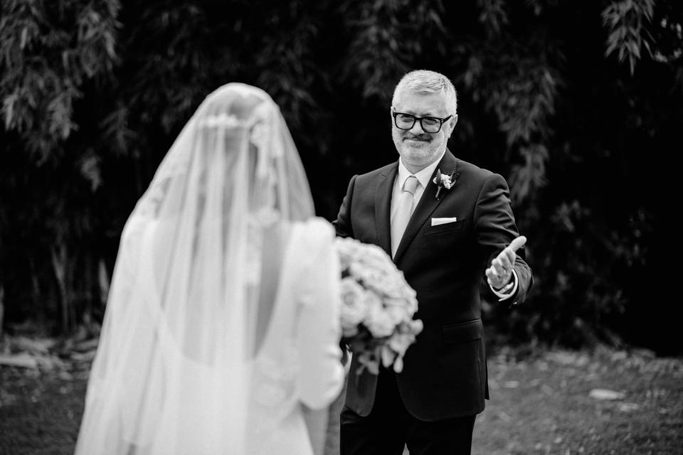 Emozioni papà sposa