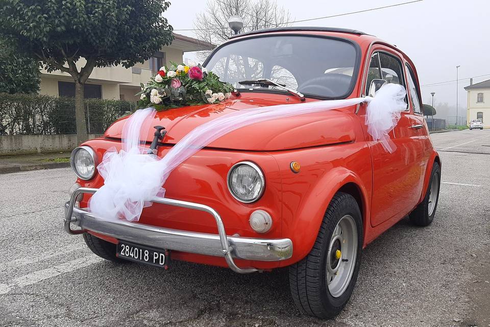 Diego Fiat 500