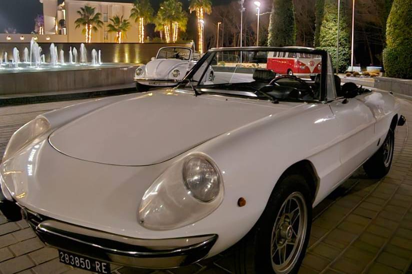 Alfa Romeo