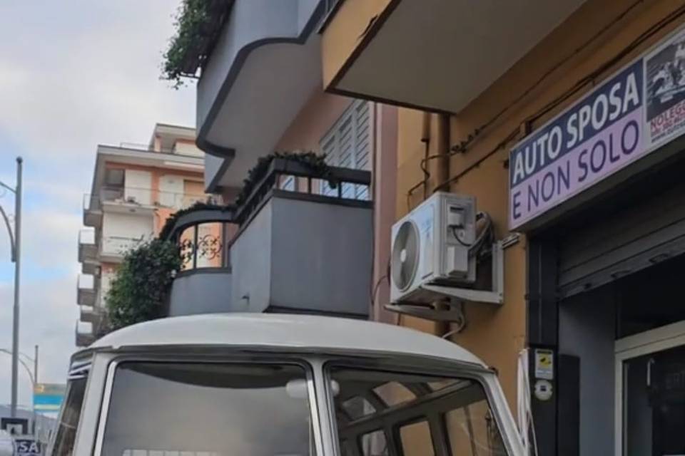 Pulmino T1