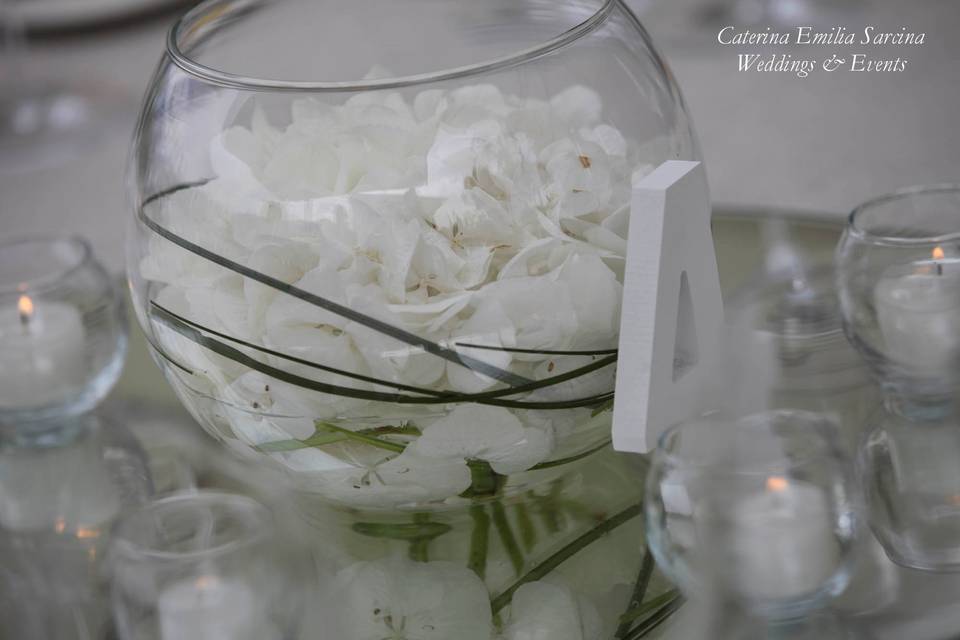 Caterina E. Sarcina Wedding Planner