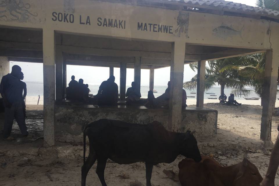 Zanzibar