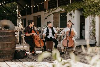 Shutter Acoustic Trio