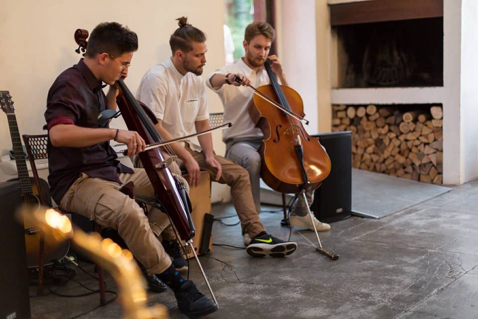 Shutter acoustic trio