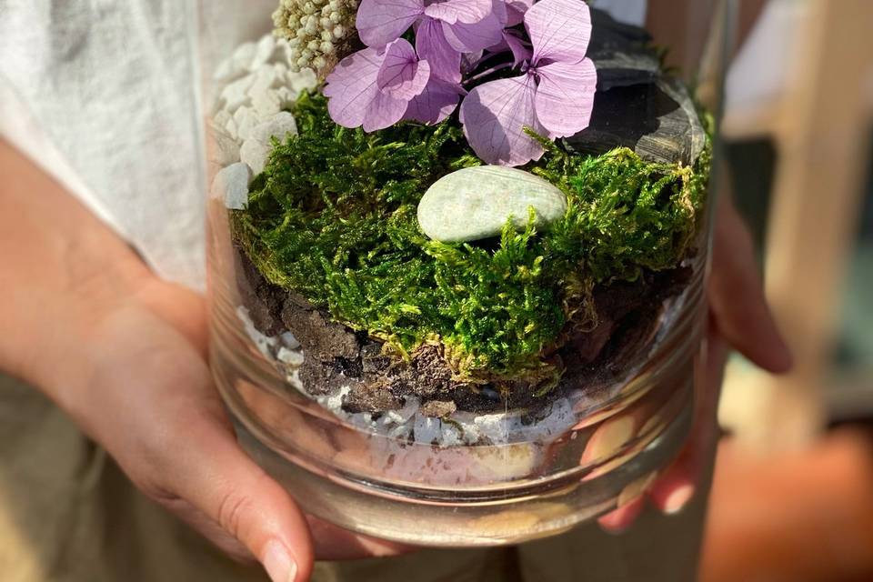 Terrarium stabilizzati