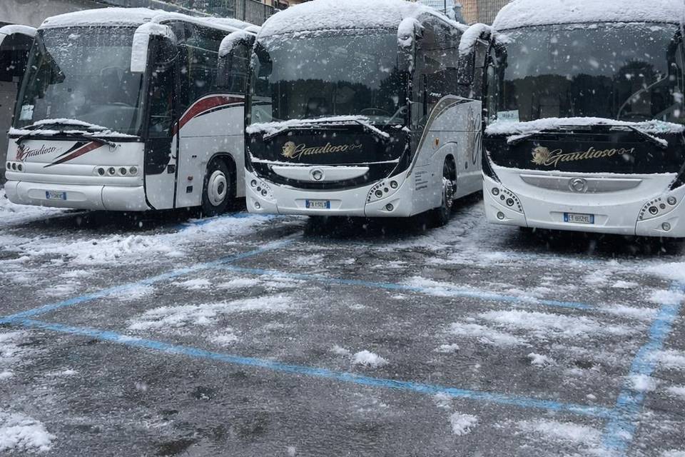 8901112