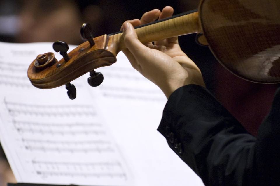 Violinista
