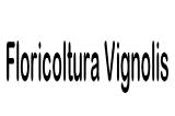 Floricultura Vignolis logo