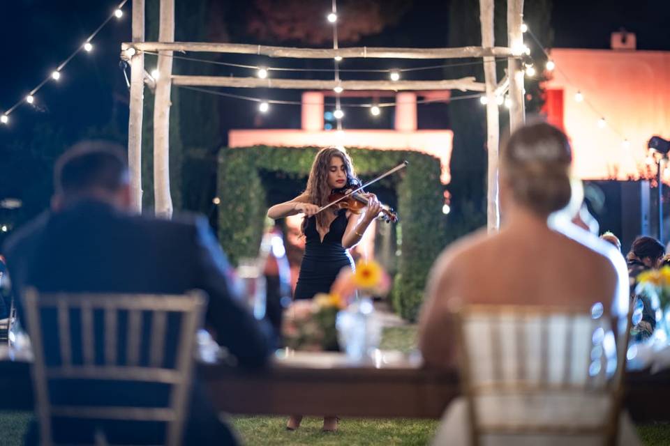 Intervento Violino