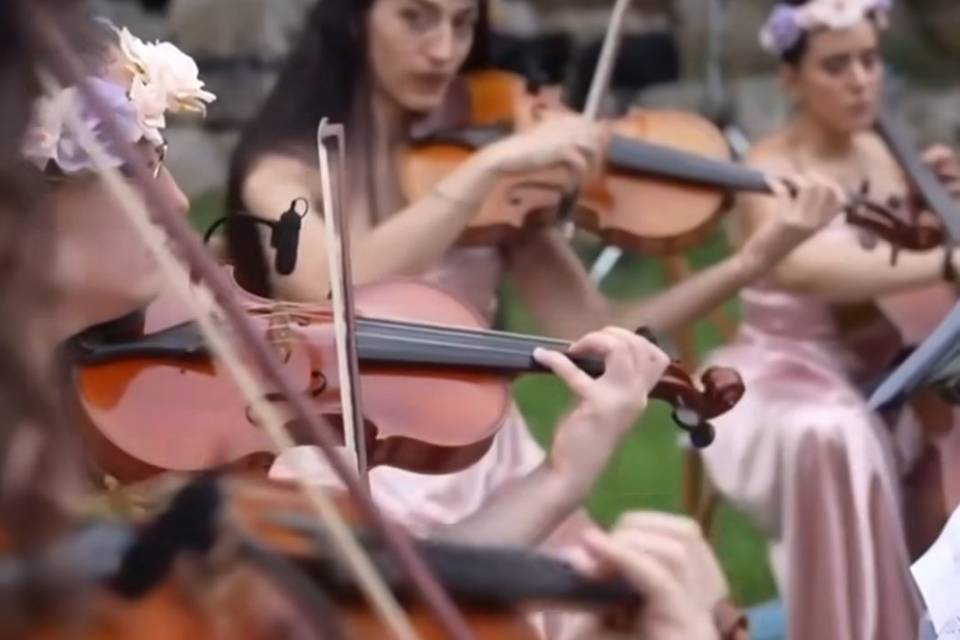 Quartetto d'archi