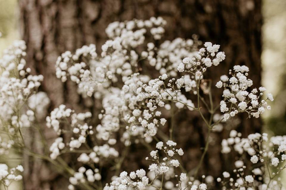 Flor Allestimenti Floreali