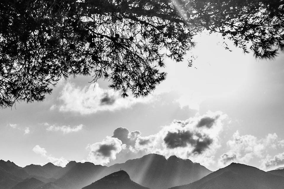 Francesco Carrino Photography