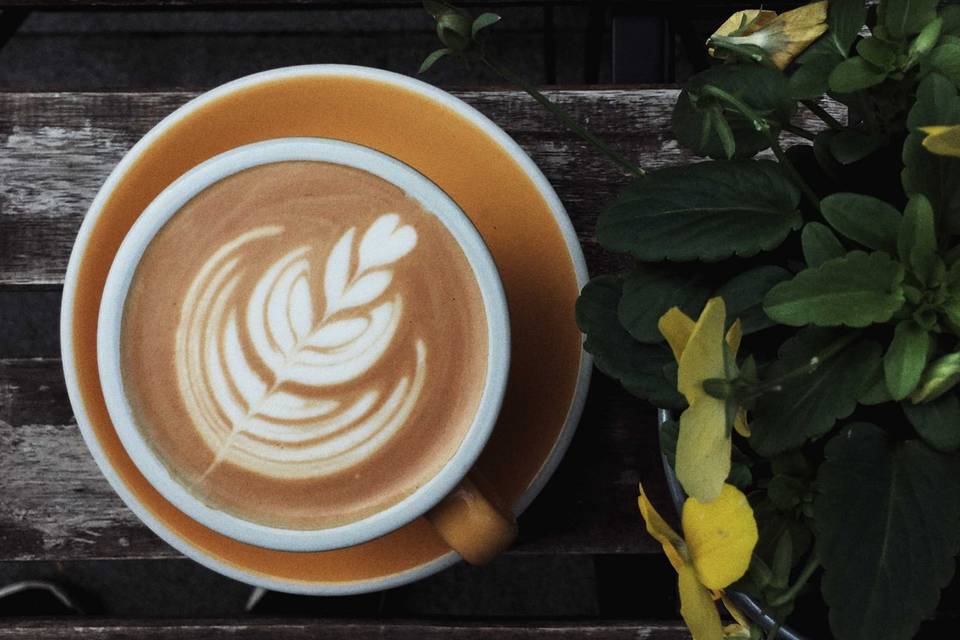 Latte Art tulipano