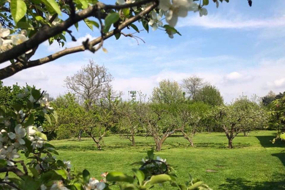 Ristorante Cascina Frutteto