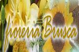 Fioreria Brusca logo