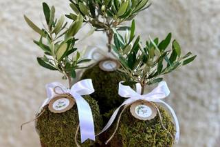Home & Garden