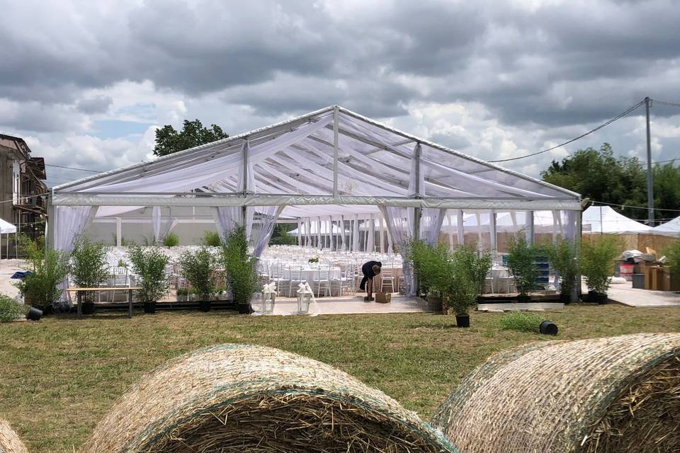 Tendostruttura cristal M.15