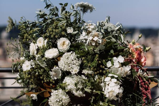 Fiori e... altro MGV