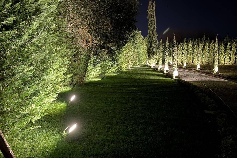 Giardino lato vialetto