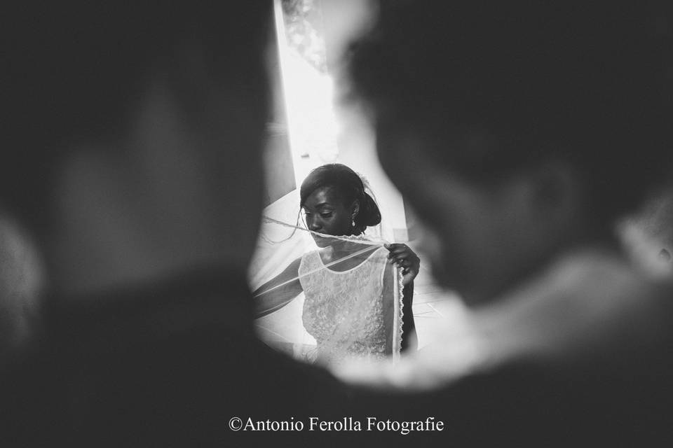 Antonio Ferolla Photography