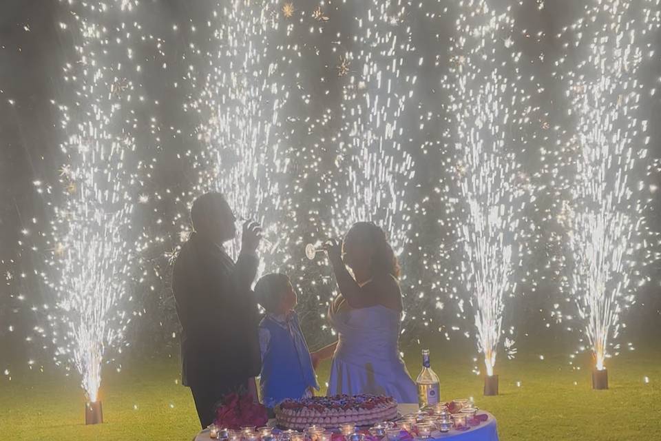 Taglio torta luminoso