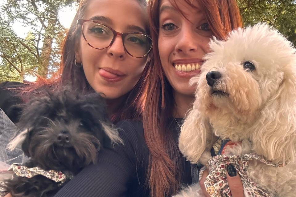 Dog sitter