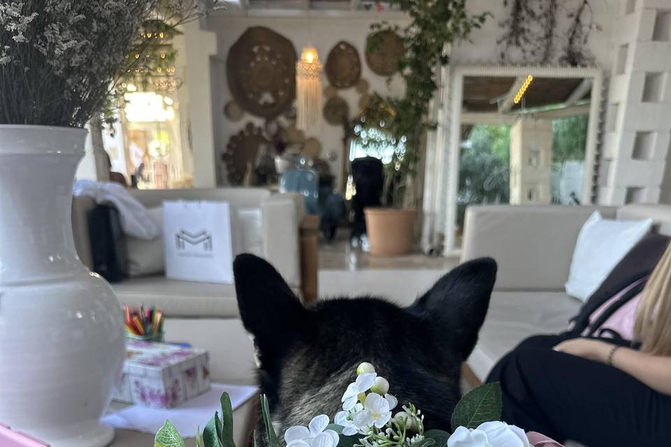 Sasha nel ruolo più importante