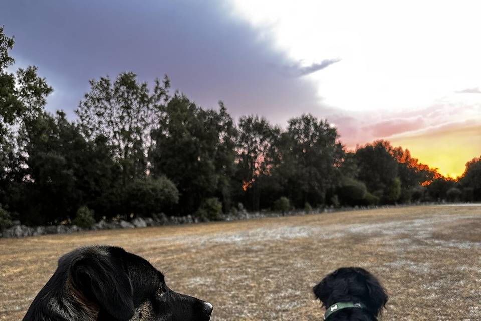 Il tramonto