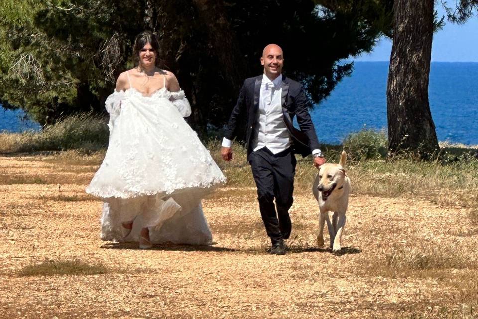 Luciana Dog Wedding Sitter