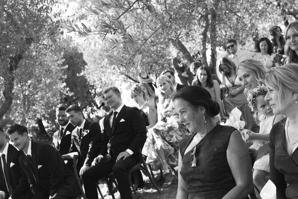 Ceremony in olive grove