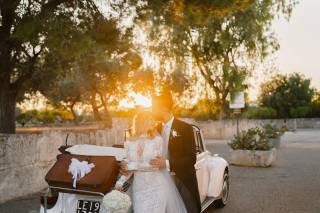 Luca Wedding Rolls