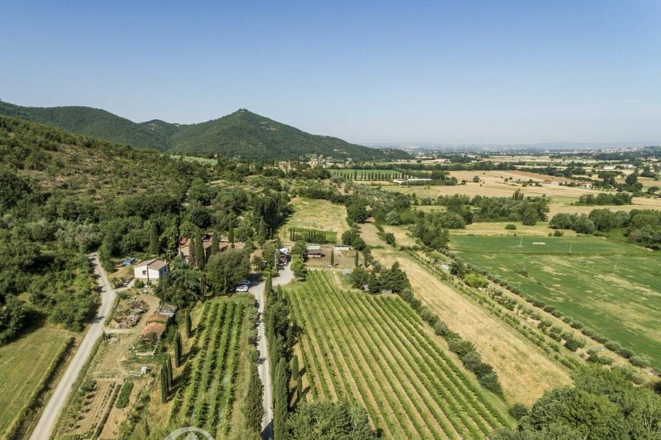 Immersa nel Verde