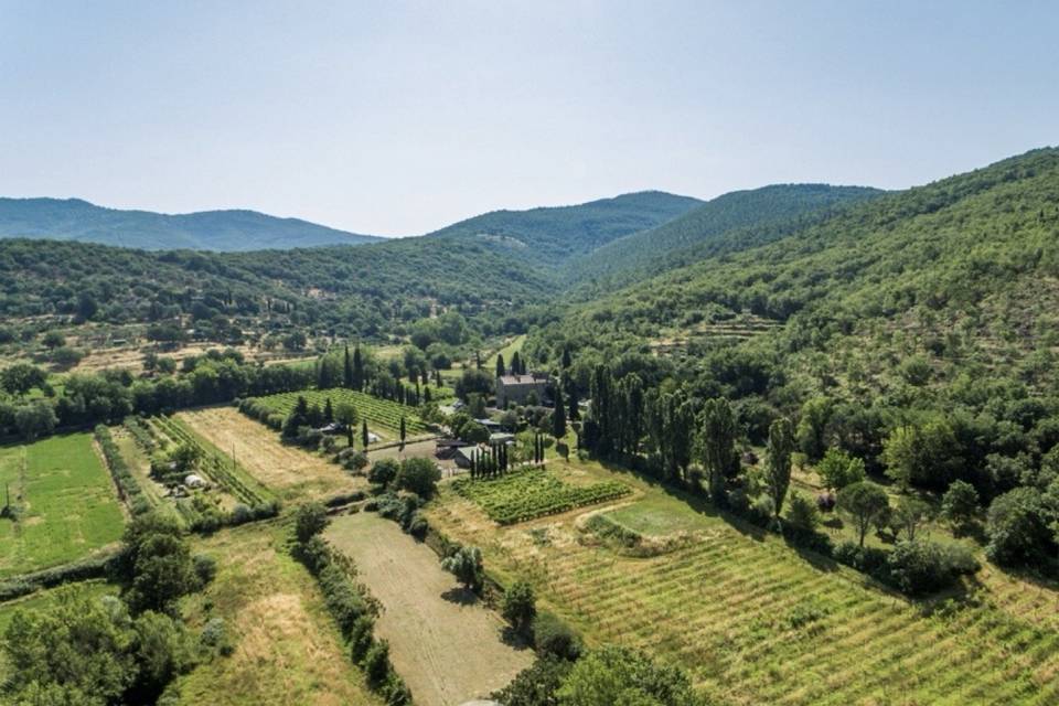 Vista Elisuperficie