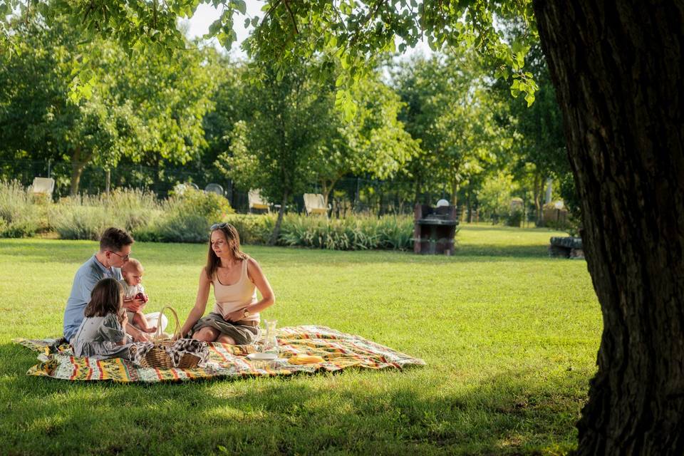 Pic-nic nel parco