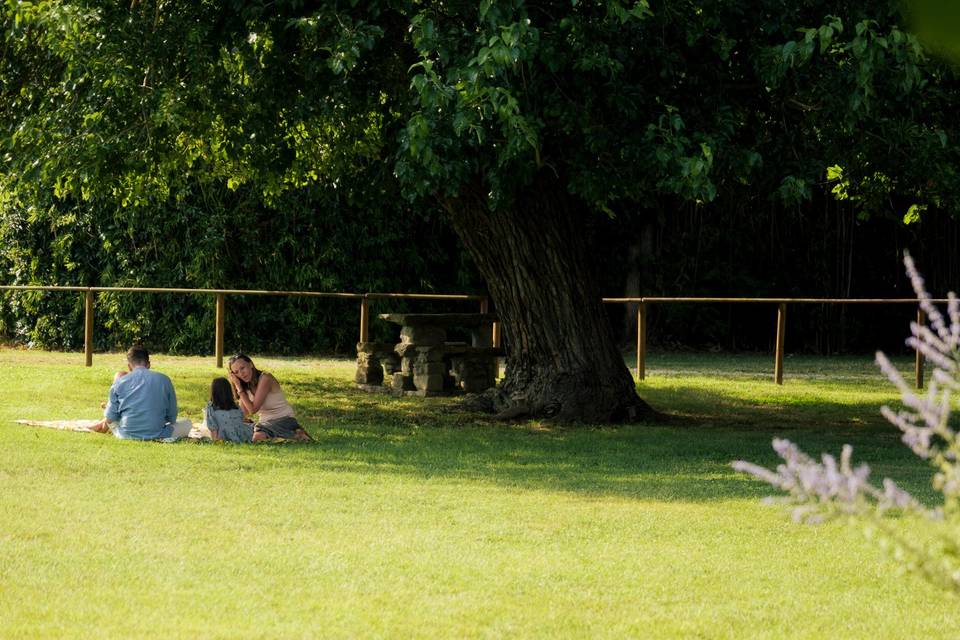 Pic-nic nel parco