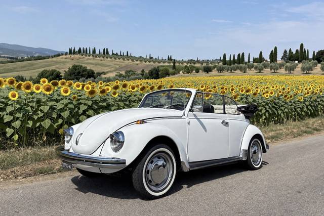 Auto matrimonio Novara
