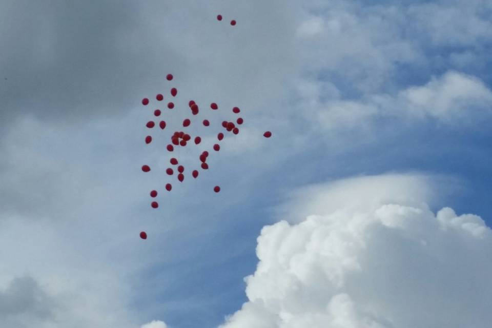 Palloncini del 50°