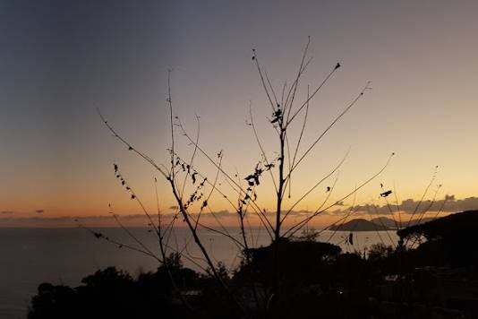 Terrazza belvedere