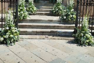 Iside Piante e Fiori