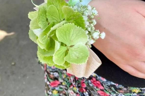 Matrimonio