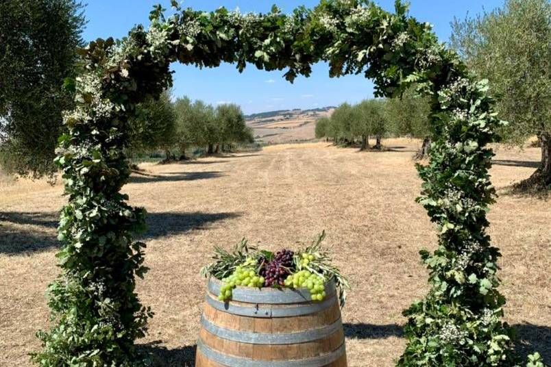 Arco