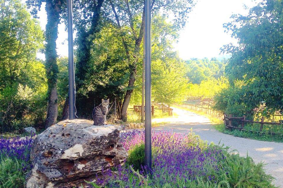 Agriturismo La Noce di Creta