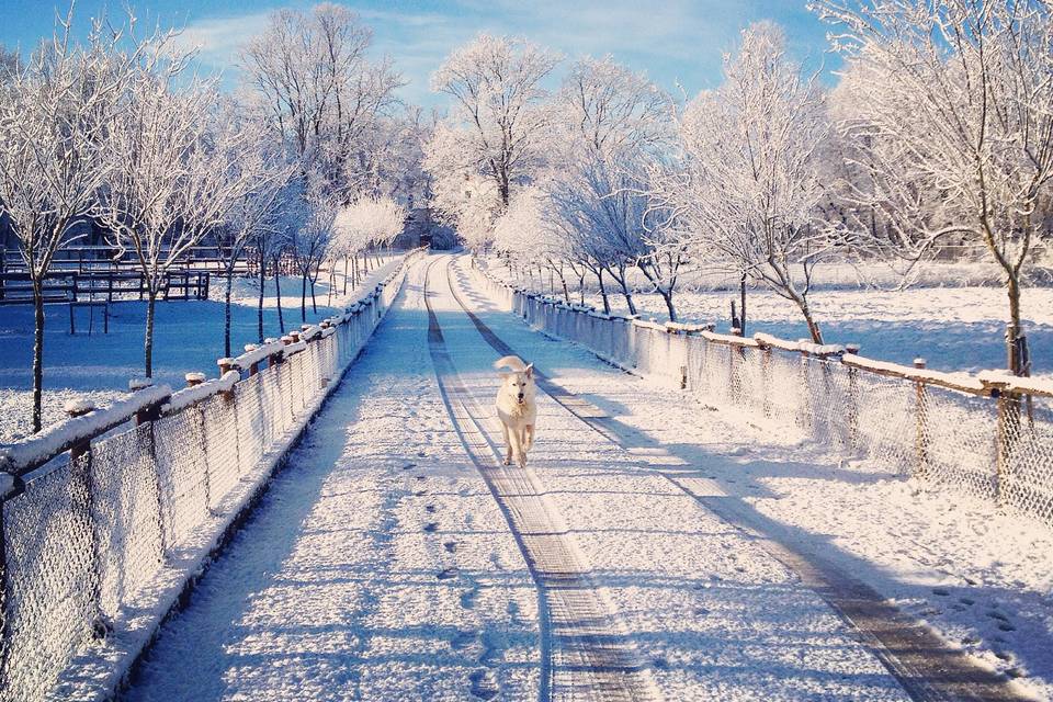 Strada principale neve