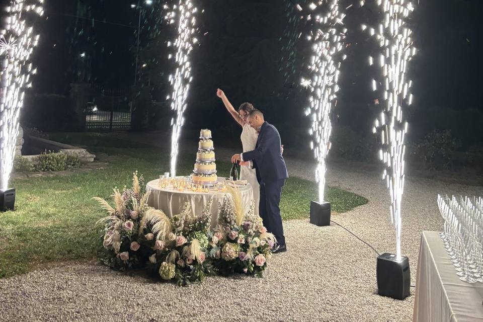 Taglio torta con sparkular