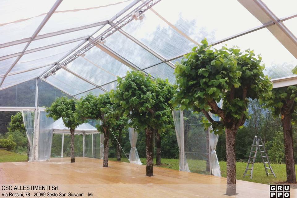 Alberi inclusi nella copertura